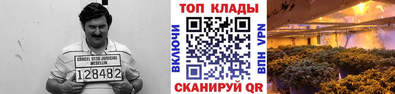 Купить наркотики сайты Новоалтайск МАРИХУАНА  Меф мяу мяу  COCAIN  ГАШ 