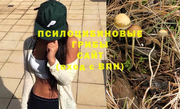 прущая мука Алексин