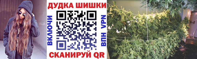 Канабис конопля Новоалтайск